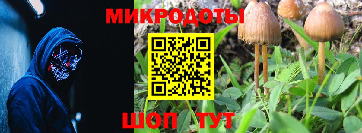 Псилоцибиновые грибы ЛСД Наро-Фоминск